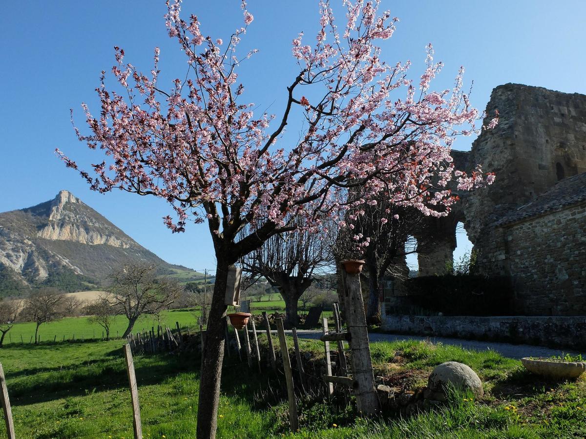 Auberge Du Prieure Saint-André-de-Rosans Kültér fotó