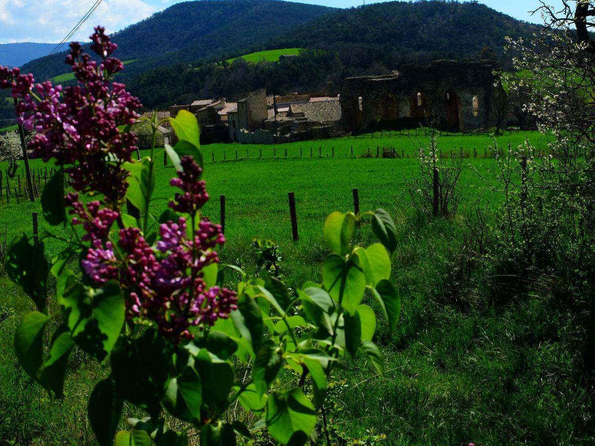 Auberge Du Prieure Saint-André-de-Rosans Kültér fotó